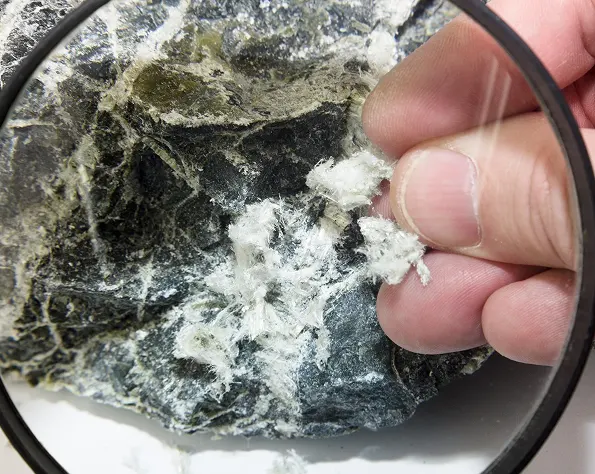 Asbestos Sample