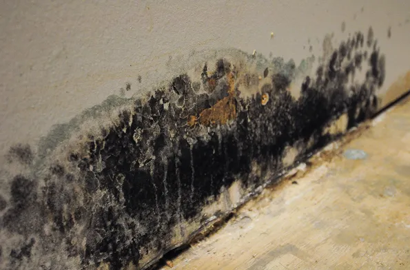 Asbestos Sample