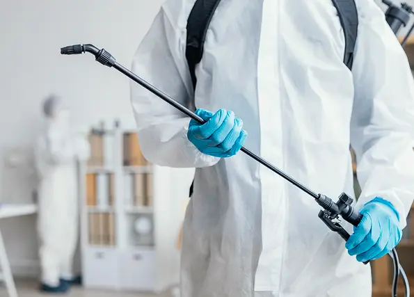 Mold Remediation Worker