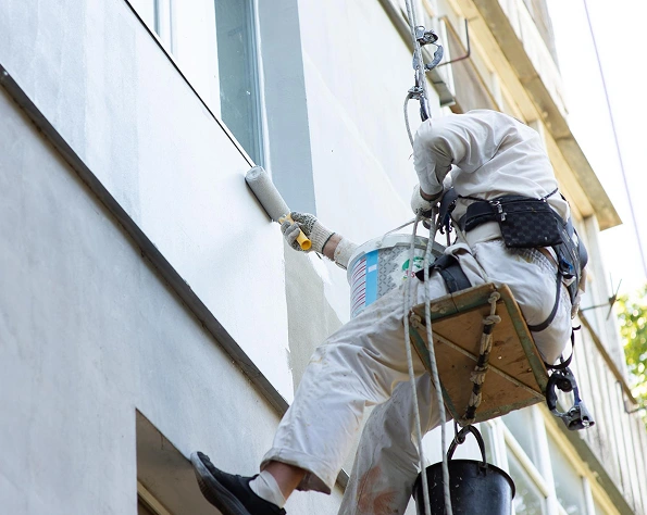 Mold Remediation Worker