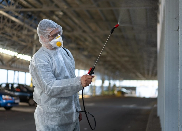 Mold Remediation Worker