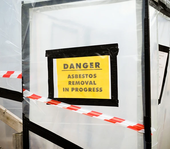 Mold Remediation Worker